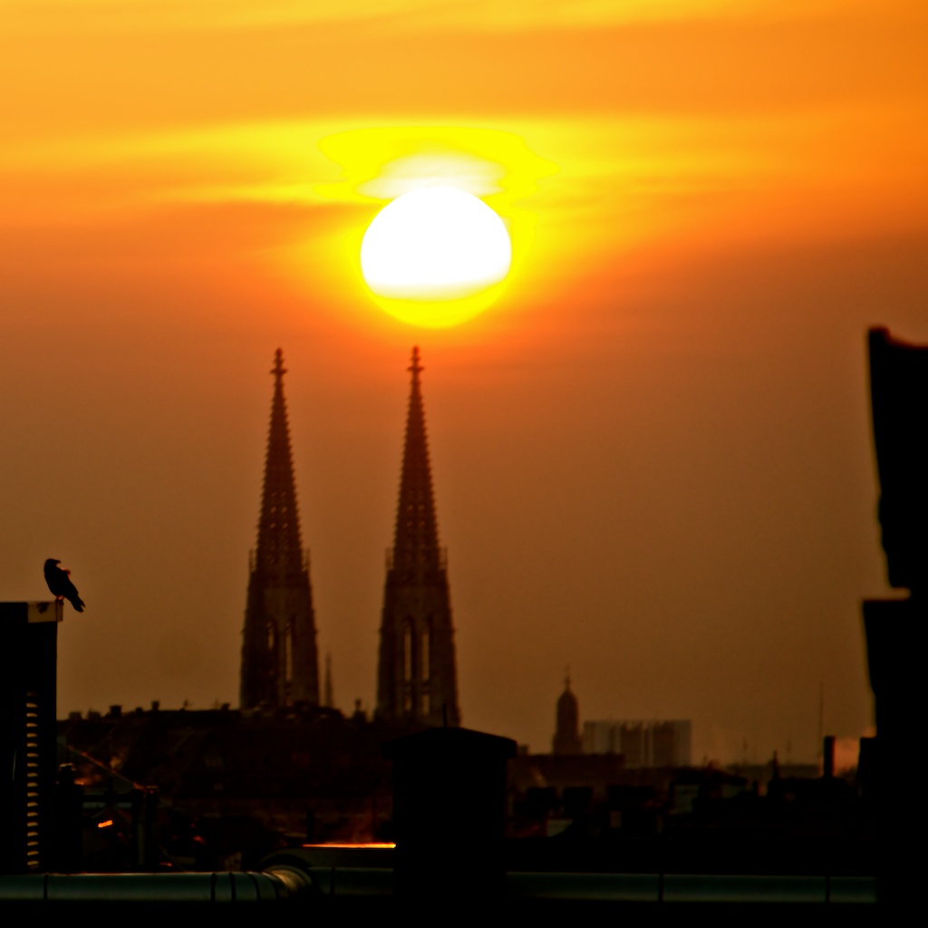 Votivkirche in Wien, Morgensonne und Krähe